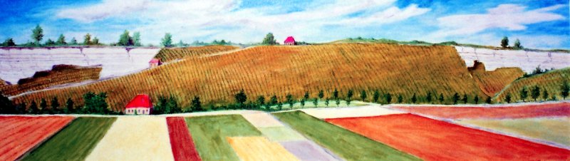 Weinberg Große Aue Bernburg um 1880